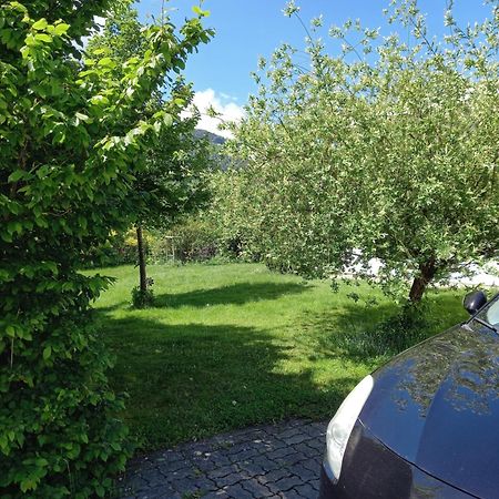 Flores, Ferienhaus Oder Doppelzimmer, Im Gruenen, 5 Gehminuten Ins Zentrum, Parkplatz, Zero Emissions Бад-Ишль Экстерьер фото