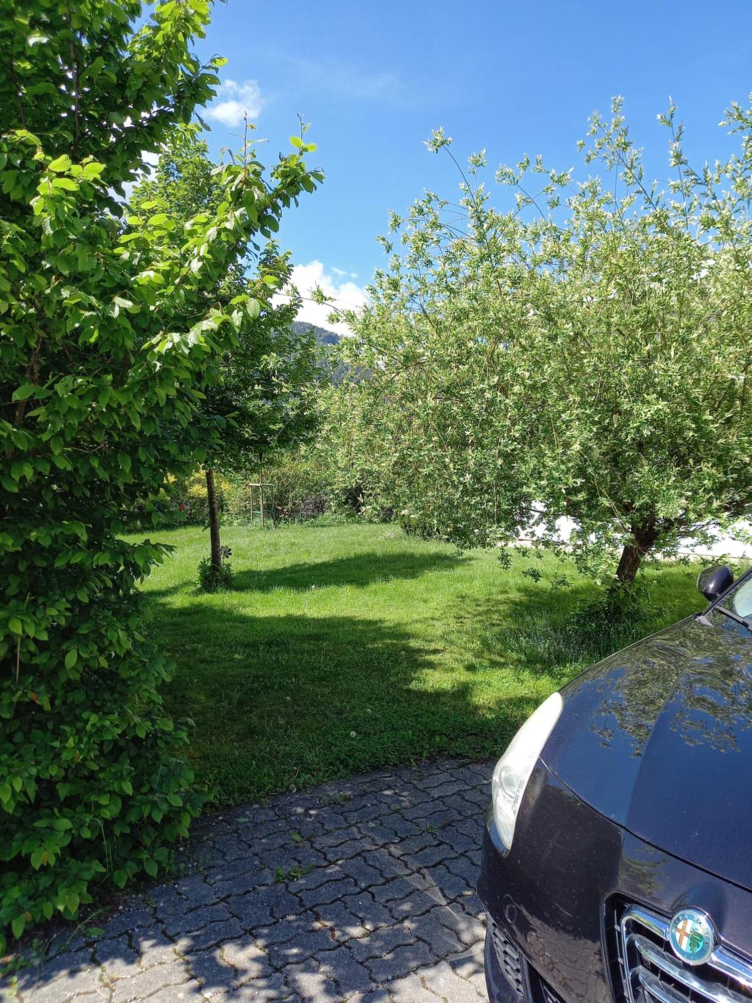 Flores, Ferienhaus Oder Doppelzimmer, Im Gruenen, 5 Gehminuten Ins Zentrum, Parkplatz, Zero Emissions Бад-Ишль Экстерьер фото