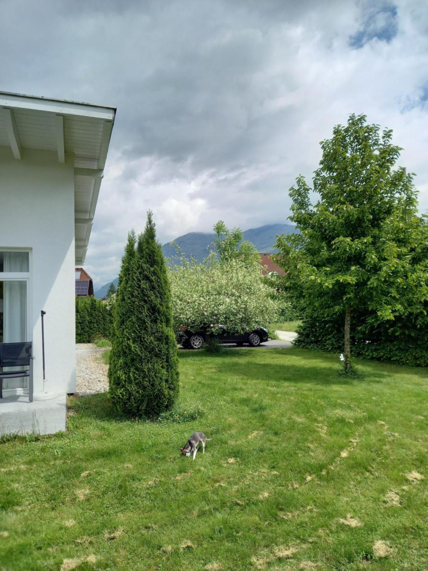 Flores, Ferienhaus Oder Doppelzimmer, Im Gruenen, 5 Gehminuten Ins Zentrum, Parkplatz, Zero Emissions Бад-Ишль Экстерьер фото